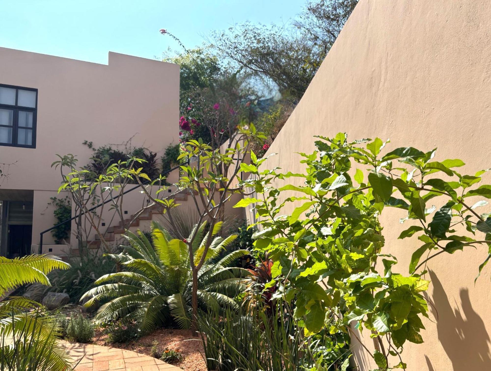 Casa Las Almas Mazunte Extérieur photo